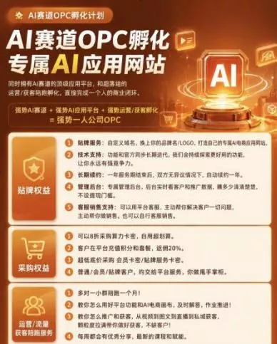 【首发】OPC一人公司项目，单日500+，手机电脑不限制，打造属