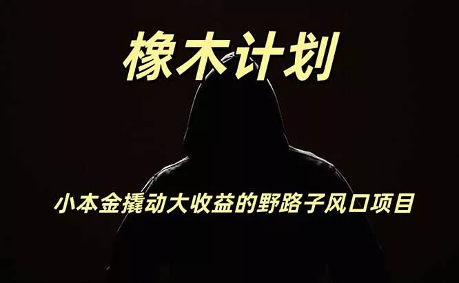 橡木计划，小投入撬动高回报的风口野路子项目，一天投入2小时左右客创社区-专注互联网轻资产资源整合与分享客创社区-专注互联网轻资产资源整合与分享