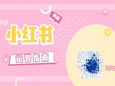 小红书运营指南，没有套路，全是经验客创社 - 专注互联网轻资产创业及网络项目资源整合与分享客创社 - 专注互联网轻资产创业及网络项目资源整合与分享
