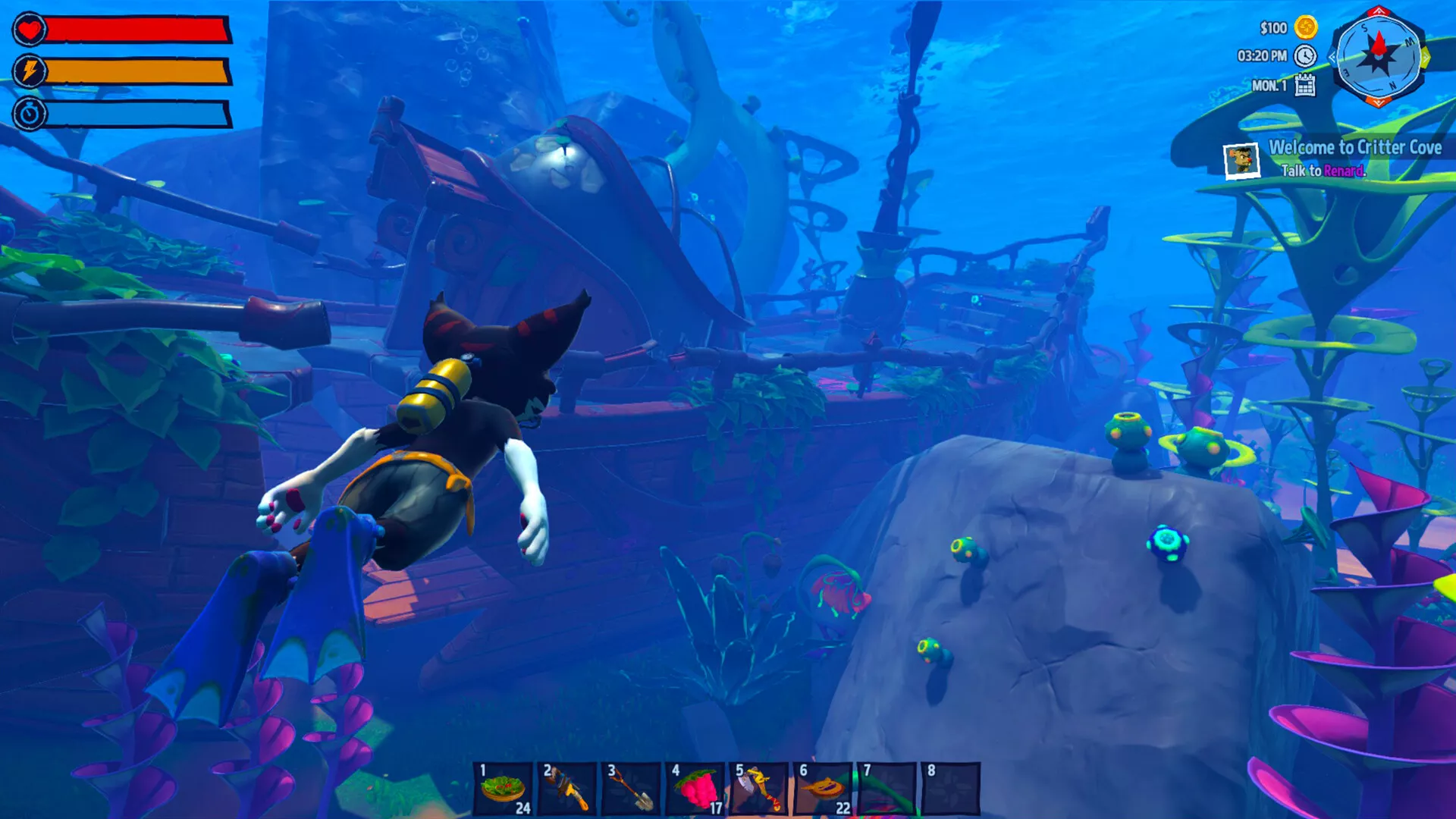 动物海湾/Critter Cove 版本更新星享资源网星享资源网