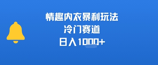情趣内衣暴利玩法，冷门赛道，日入1k+-客创社 - 专注互联网轻资产创业及网络项目资源整合与分享客创社-免费且强大的项目分享网站！