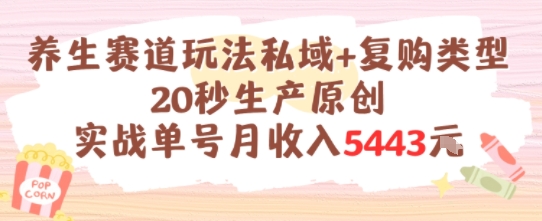 养生赛道玩法私域+复购类型，20秒生产原创实战单号月收入5k+-客创社 - 专注互联网轻资产创业及网络项目资源整合与分享客创社-免费且强大的项目分享网站！