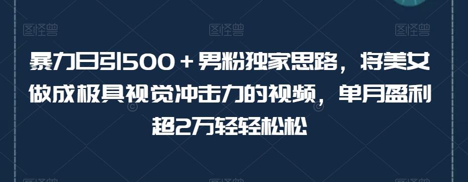 暴力日引500＋男粉独家思路，将美女做成极具视觉冲击力的视频，单月盈利超2万轻轻松松客创社 - 专注互联网轻资产创业及网络项目资源整合与分享客创社 - 专注互联网轻资产创业及网络项目资源整合与分享