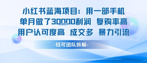 小红书蓝海项目，一部手机单月做了3W利润，小白也能月入过1W用户认可度高成交多-客创社 - 专注互联网轻资产创业及网络项目资源整合与分享客创社-免费且强大的项目分享网站！