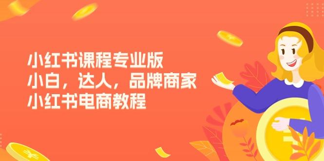 小红书课程专业版，小白，达人，品牌商家，小红书电商教程(15节客创社 - 专注互联网轻资产创业及网络项目资源整合与分享客创社 - 专注互联网轻资产创业及网络项目资源整合与分享