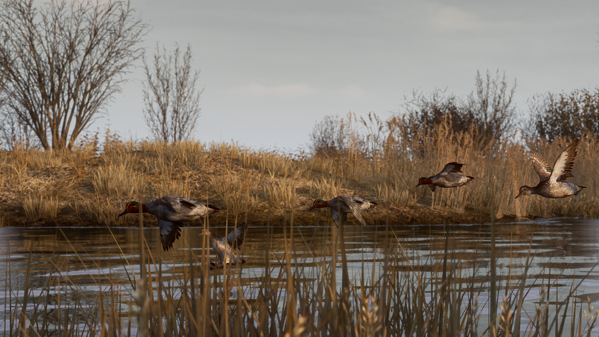 BULT：狩猎模拟器/BULT: Hunting simulator客创社区-专注互联网轻资产资源整合与分享客创社区-专注互联网轻资产资源整合与分享