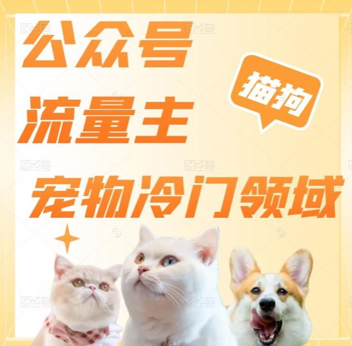 公众号流量主，萌宠冷门领域，单日收益2000+，简单暴力掘金，矩阵操作，无限放大收益！客创社 - 专注互联网轻资产创业及网络项目资源整合与分享客创社 - 专注互联网轻资产创业及网络项目资源整合与分享