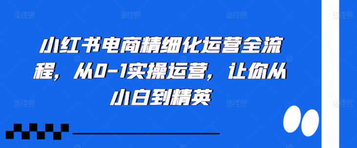 小红书电商精细化运营全流程，从0-1实操运营，让你从小白到精英客创社 - 专注互联网轻资产创业及网络项目资源整合与分享客创社 - 专注互联网轻资产创业及网络项目资源整合与分享