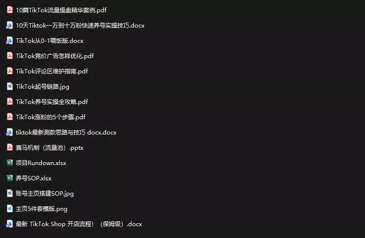 2026TikTok海外掘金实战课——养号SOP+爆款公式+选品
