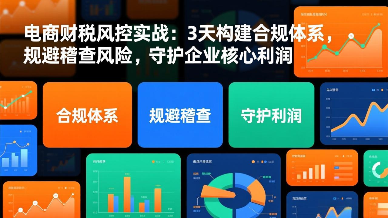 电商财税风控实战：3天构建合规体系，规避稽查风险，守护企业核心利润客创社区-专注互联网轻资产资源整合与分享客创社区-专注互联网轻资产资源整合与分享