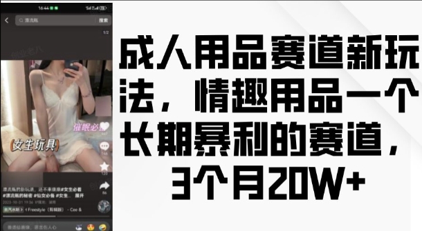 成人用品赛道新玩法，情趣用品一个长期暴利的赛道，3个月收益20个【揭秘】-客创社 - 专注互联网轻资产创业及网络项目资源整合与分享客创社-免费且强大的项目分享网站！