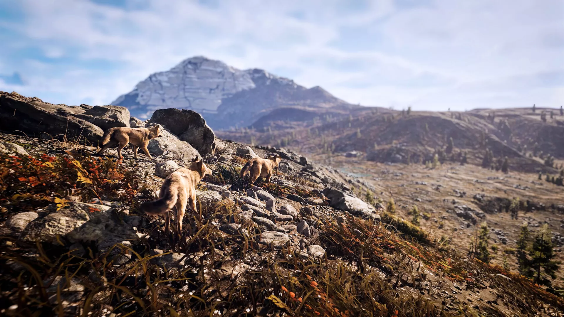 狩猎模拟3/Hunting Simulator 3 新游发布