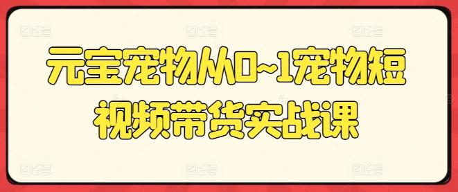 元宝宠物从0~1宠物短视频带货实战课客创社 - 专注互联网轻资产创业及网络项目资源整合与分享客创社 - 专注互联网轻资产创业及网络项目资源整合与分享