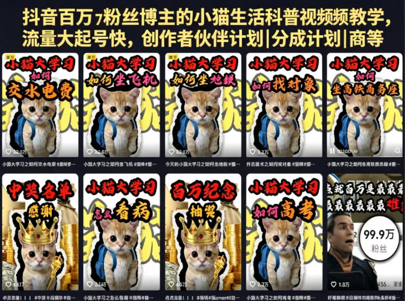 抖音百万粉丝博主的小猫生活科普视频教学，流量大起号快，创作者伙伴计划|分成计划|商单|收徒等 《鱼见海科技》-鱼见海资源网-免费PHP网站源码模板,插件软件网创AI智能体资源分享平台！