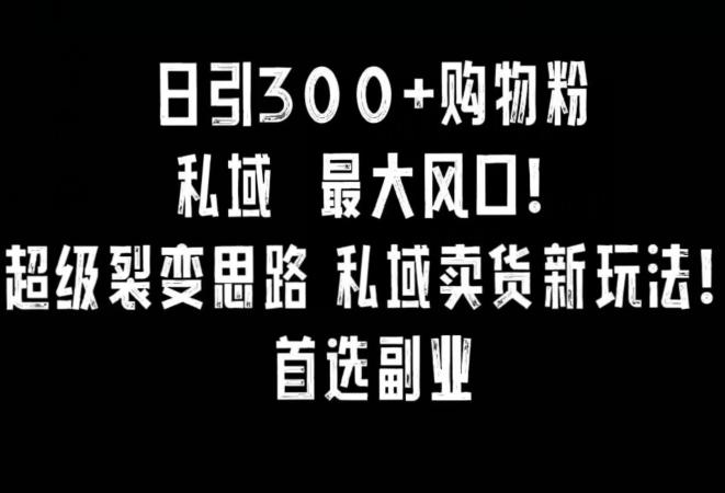 日引300+购物粉，超级裂变思路，私域卖货新玩法，小红书首选副业【揭秘】客创社 - 专注互联网轻资产创业及网络项目资源整合与分享客创社 - 专注互联网轻资产创业及网络项目资源整合与分享