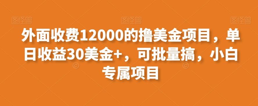 外面收费12000的撸美金项目，单日收益30美金+，可批量搞，小白专属项目客创社 - 专注互联网轻资产创业及网络项目资源整合与分享客创社 - 专注互联网轻资产创业及网络项目资源整合与分享