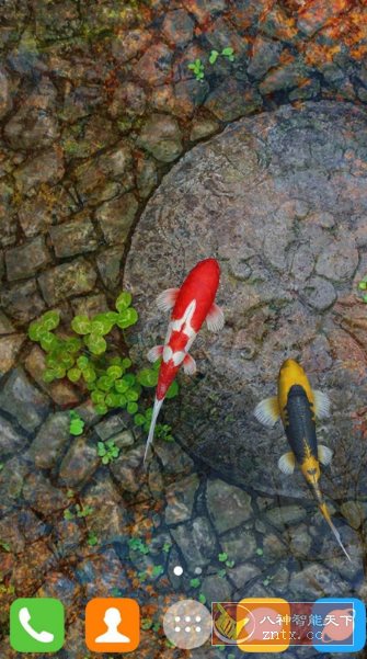 Water Garden Live Wallpaper 锦鲤3D动态壁纸2.05专业版客创社区-专注互联网轻资产资源整合与分享客创社区-专注互联网轻资产资源整合与分享