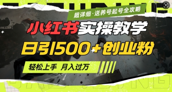 2月小红书最新日引500+创业粉实操教学【超详细】小白轻松上手，月入1W+，附小红书养号起号SOP客创社 - 专注互联网轻资产创业及网络项目资源整合与分享客创社 - 专注互联网轻资产创业及网络项目资源整合与分享