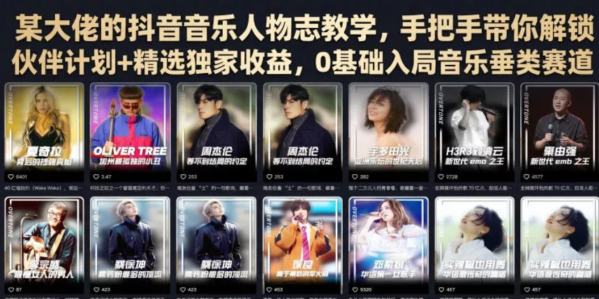 某大佬的抖音音乐人物志教学，手把手带你解锁伙伴计划+精选独家收益，0基础入局音乐垂类赛道-软件百科