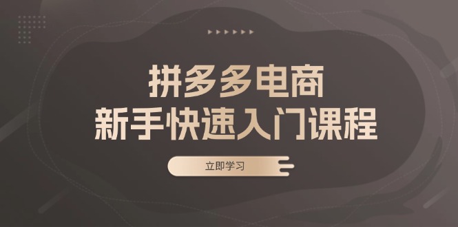 拼多多电商新手快速入门课程：涵盖基础、实战与选款，助力小白轻松上手客创社 - 专注互联网轻资产创业及网络项目资源整合与分享客创社 - 专注互联网轻资产创业及网络项目资源整合与分享