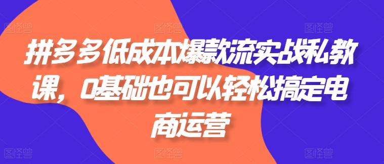 拼多多低成本爆款流实战私教课，0基础也可以轻松搞定电商运营客创社 - 专注互联网轻资产创业及网络项目资源整合与分享客创社 - 专注互联网轻资产创业及网络项目资源整合与分享