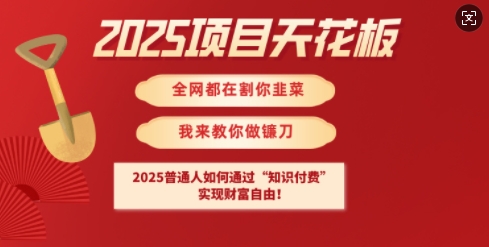2025项目天花板普通人如何通过知识付费，实现财F自由【揭秘】-客创社 - 专注互联网轻资产创业及网络项目资源整合与分享客创社-免费且强大的项目分享网站！
