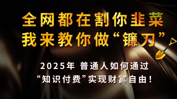 全网都在割你韭菜，我来教你做镰刀，2025普通人如何通过知识付费，实现财F自由【揭秘】-客创社 - 专注互联网轻资产创业及网络项目资源整合与分享客创社-免费且强大的项目分享网站！