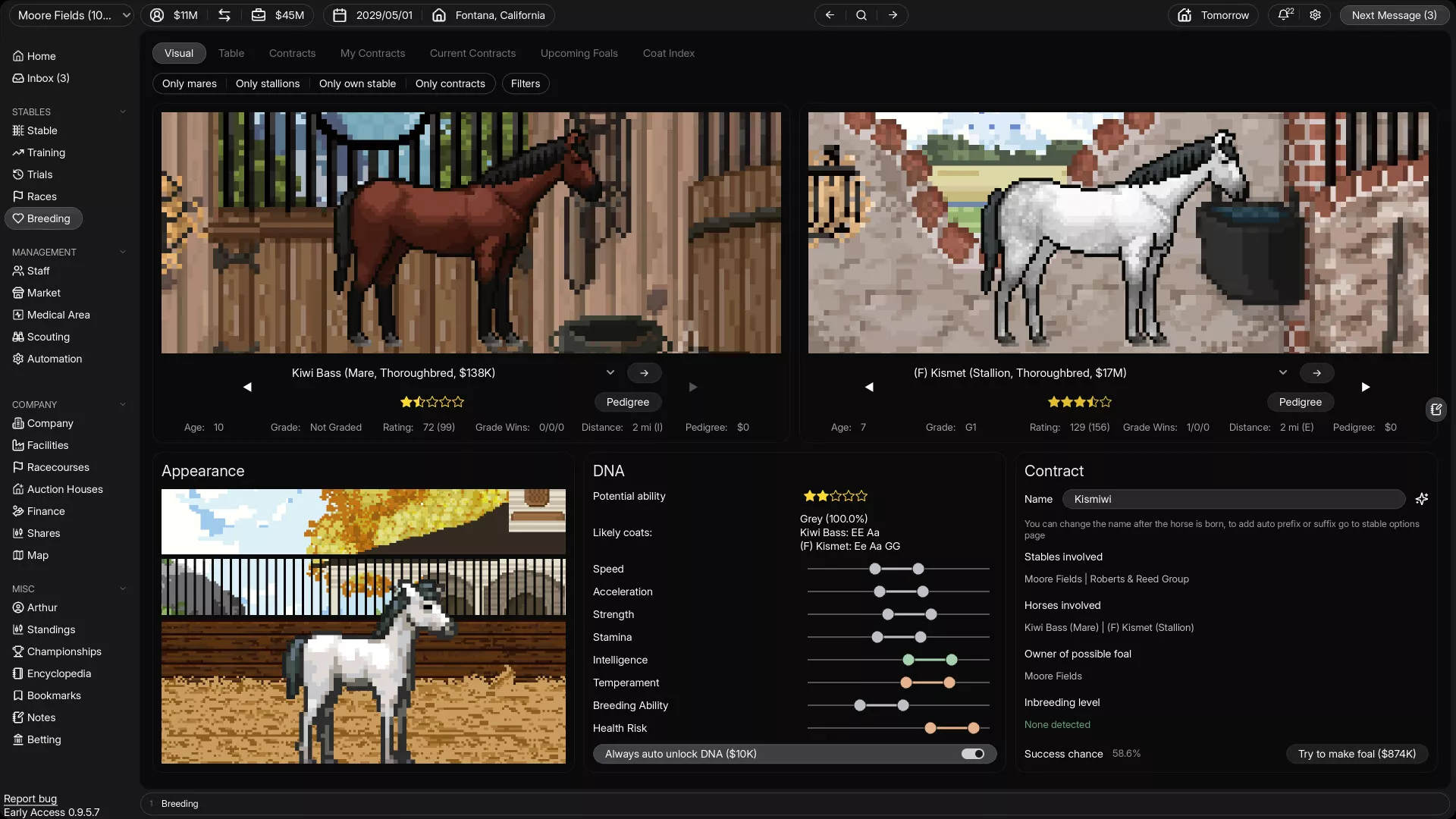 赛马经理/Horse Racing Manager 版本更新
